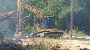 Excavator clearing trees