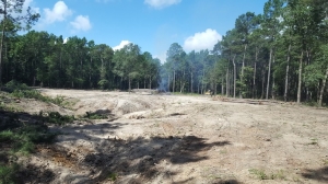 Trees and bush cleared from lot