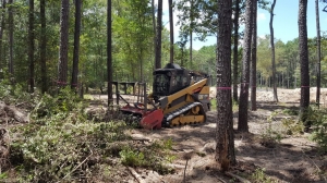 Bulldozer clearing brush with mulching head