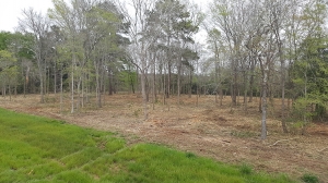 Lot cleared of bush
